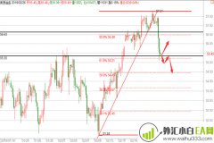 2.26原油大赚200点,黄金看反弹操作建议！