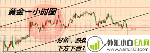 1127PHOTO5.png