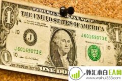 外汇新手如何选择交易产品?
