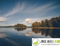 成功外汇交易者应该具备狼性特征！