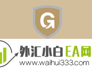 B&G GLOBAL MARKETS是一家怎么样的公司? 