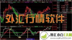 外汇分析软件汇市管家V2.06下载！