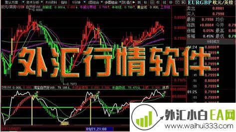  外汇分析软件汇市管家下载_汇市管家V2.06下载