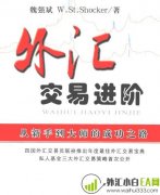 《外汇交易进阶:从新手到大师的成功之路》书籍