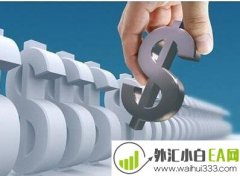 新手炒外汇成功的秘诀是什么?