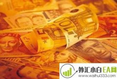 炒外汇新手必看准则?炒外汇需要注意什么?