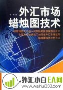 《外汇市场蜡烛图技术》炒外汇书籍下载