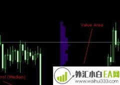 Market Profile(市场功能)经典执行指标下载
                