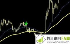 趋势指南针外汇交易系统MT4下载
                