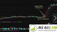 零滞后MACD指标MT4下载
                