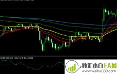 外汇多均线加支点分析系统V2010下载
                