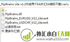 PipBrains Lite v1.2内含两个EA外汇EA指标下载!