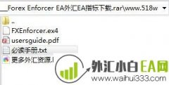 Forex Enforcer外汇EA非剥头皮系统
                