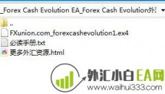 Forex Cash Evolution外汇EA售价97美金下载
                