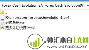 Forex Cash Evolution外汇EA指标下载