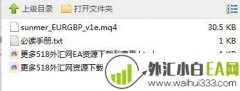 Sunmer EURGBP v1e剥头皮外汇EA下载
                