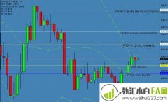 国外网站找的带止盈止损的暴力指标下载
                
