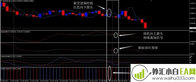 喷泉外汇交易系统下载