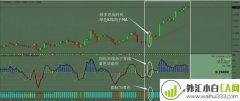 伍迪核心外汇交易系统下载
                