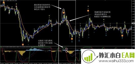 沙夫策略外汇交易系统下载