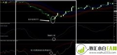 阿比德方法外汇交易系统下载
                