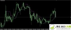 PriceChannel_Stop_v1指标创建另类通道下载
                