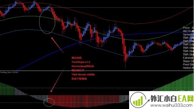 NK极限TMA波段外汇交易系统下载