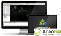 新手炒汇必看5招,善用理财预算！