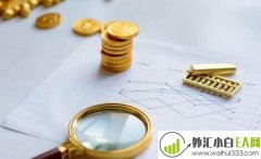 外汇入门新手怎样提高外汇买卖的赢利?