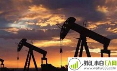 11.8晚间原油命不久矣？黄金持续震荡？