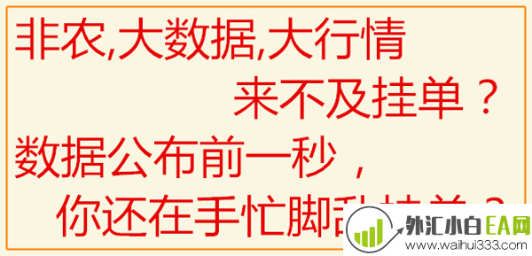 大行情非农一键双向挂单脚本/两款版本