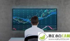 外汇交易市场的种类有哪些?