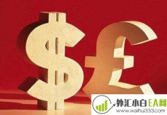 外汇直播室喊单应该注意什么?
