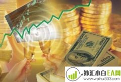 新人怎样炒外汇?怎么炒外汇新手入门?