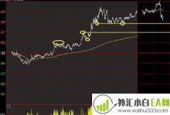 通过外汇直播认识外汇交易市场!