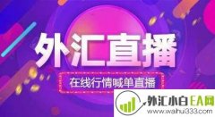 外汇直播室哪个好?哪个外汇直播平台好?