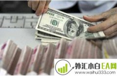 外汇交易商是什么,外汇是什么?