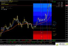 MT4多利外汇交易系统(V1.2)下载
                