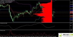 火炬1号MT4阻力与支撑交易系统下载
                
