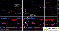 斯富外汇交易系统下载
                