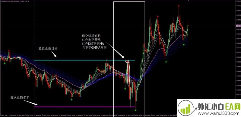 粉红外汇交易系统下载
