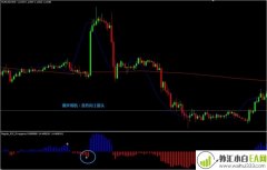 RSI Divergence with two SMA外汇交易系统下载
                