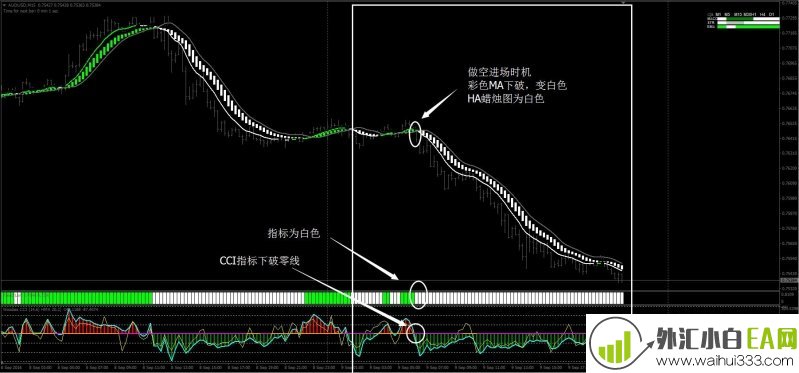 绿火外汇交易系统