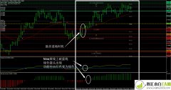 CATFX50外汇交易系统下载
                