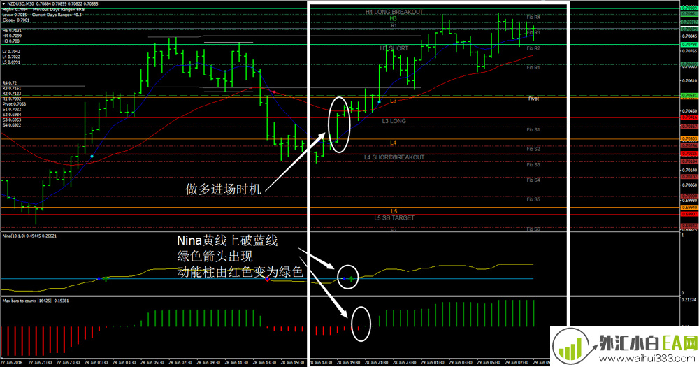 CATFX50 Forex Trading System外汇交易