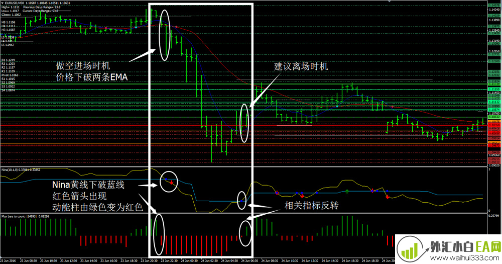 CATFX50 Forex Trading System外汇交易