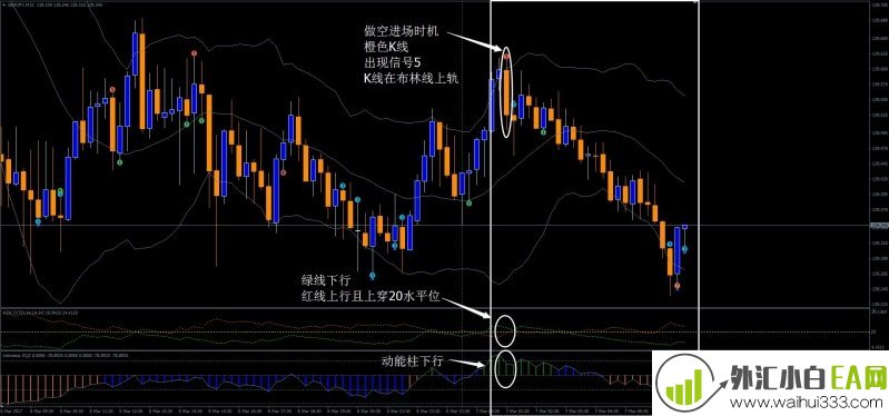IVT外汇交易系统下载