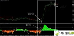 3BP自适应外汇交易系统下载
                