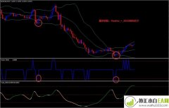 RSX Timing外汇交易系统下载
                