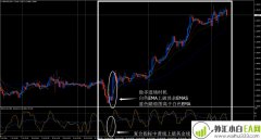 LANG策略外汇交易系统下载
                